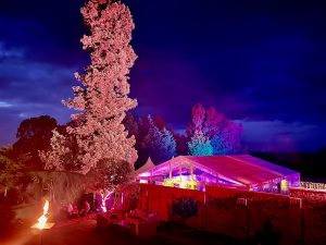 IMG_2378 Marquee in garden for 60th birthday party