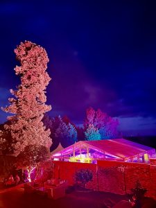 IMG_2379
